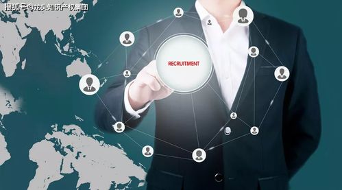 服务业能否申报高新技术企业认定？以网络技术服务为例深度解析